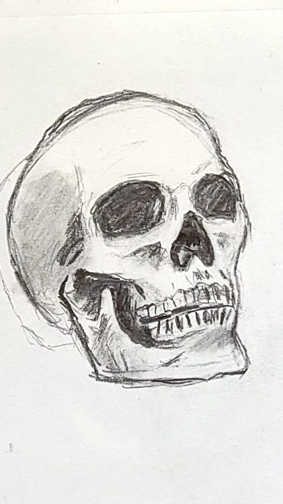 Drawing of a Skull