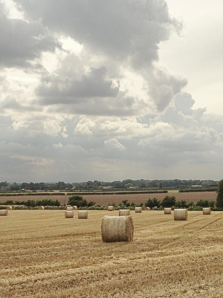 Landscape with big cloudy sky and Straw bailes in a field
